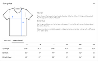 Load image into Gallery viewer, Vintage Vitality™ Premium V-Neck - Traditional Medicine Heritage Tee